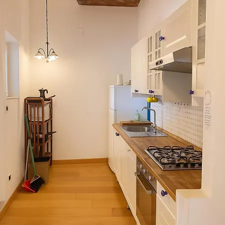 Maison Dei Miracoli 3* פיזה