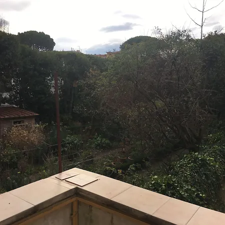 Maison Dei Miracoli פיזה